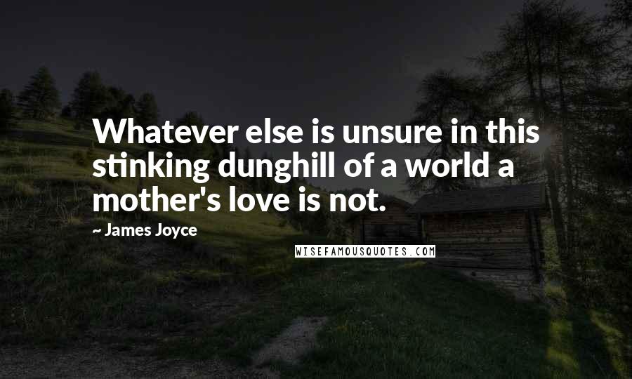 James Joyce Quotes: Whatever else is unsure in this stinking dunghill of a world a mother's love is not.