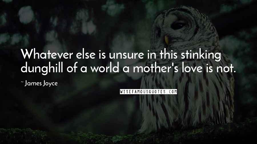 James Joyce Quotes: Whatever else is unsure in this stinking dunghill of a world a mother's love is not.