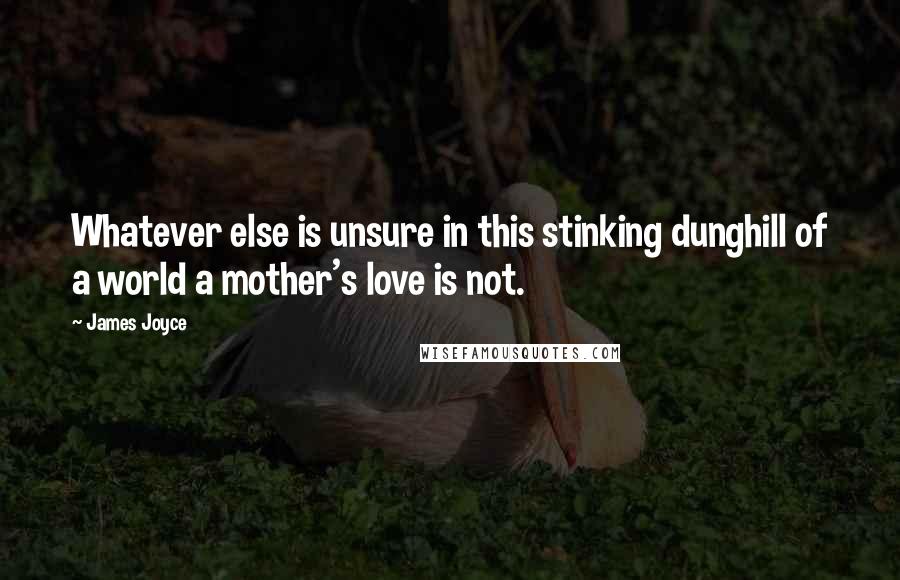 James Joyce Quotes: Whatever else is unsure in this stinking dunghill of a world a mother's love is not.