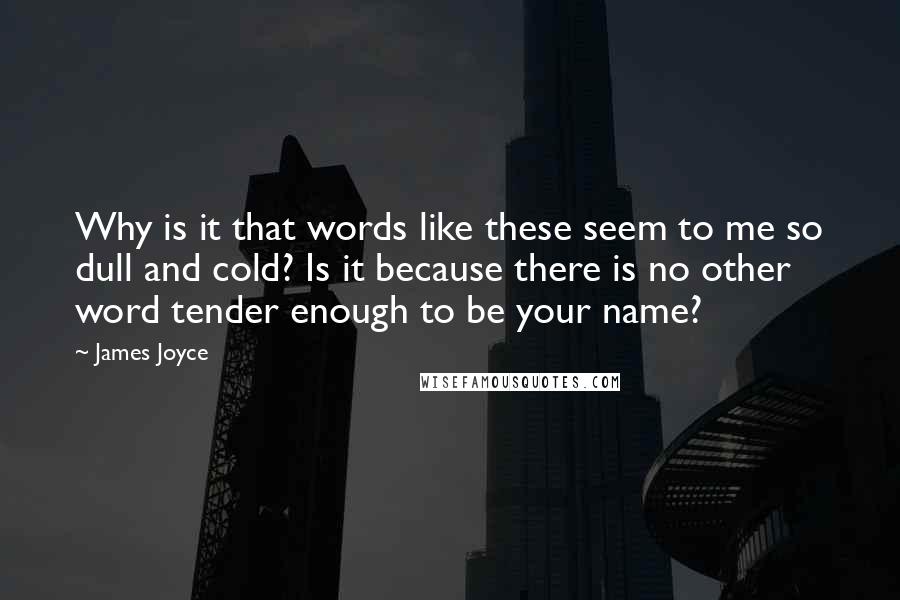 James Joyce Quotes: Why is it that words like these seem to me so dull and cold? Is it because there is no other word tender enough to be your name?