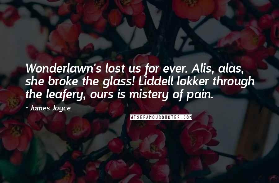 James Joyce Quotes: Wonderlawn's lost us for ever. Alis, alas, she broke the glass! Liddell lokker through the leafery, ours is mistery of pain.