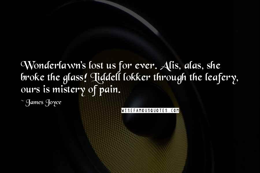 James Joyce Quotes: Wonderlawn's lost us for ever. Alis, alas, she broke the glass! Liddell lokker through the leafery, ours is mistery of pain.