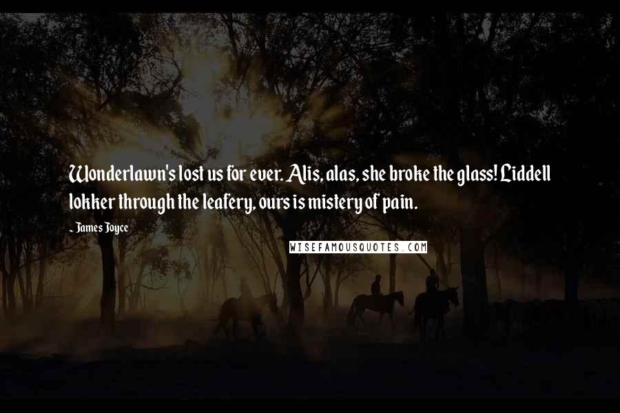 James Joyce Quotes: Wonderlawn's lost us for ever. Alis, alas, she broke the glass! Liddell lokker through the leafery, ours is mistery of pain.