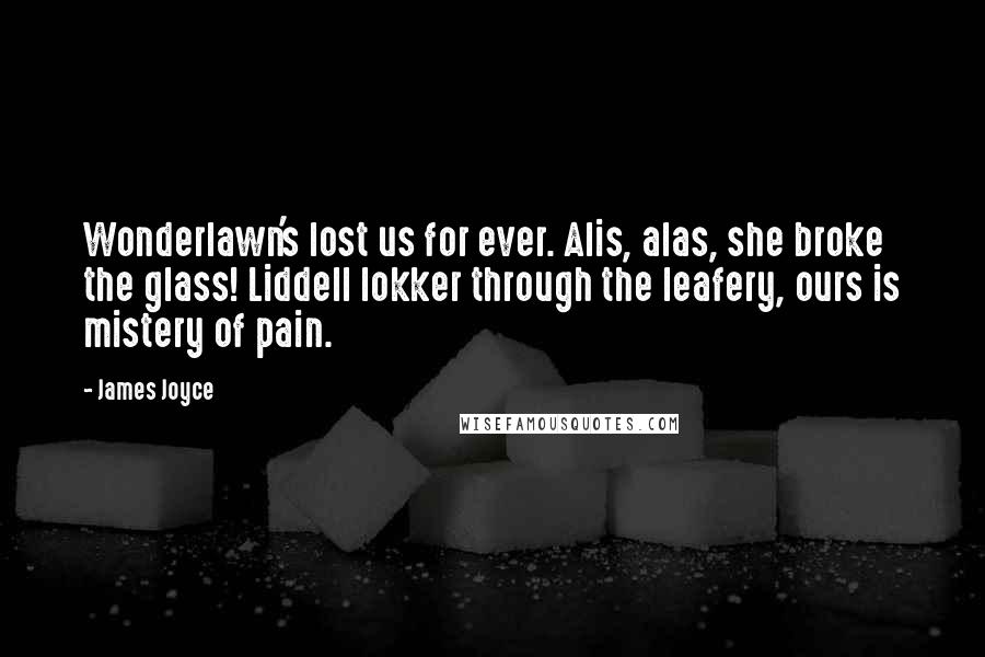 James Joyce Quotes: Wonderlawn's lost us for ever. Alis, alas, she broke the glass! Liddell lokker through the leafery, ours is mistery of pain.