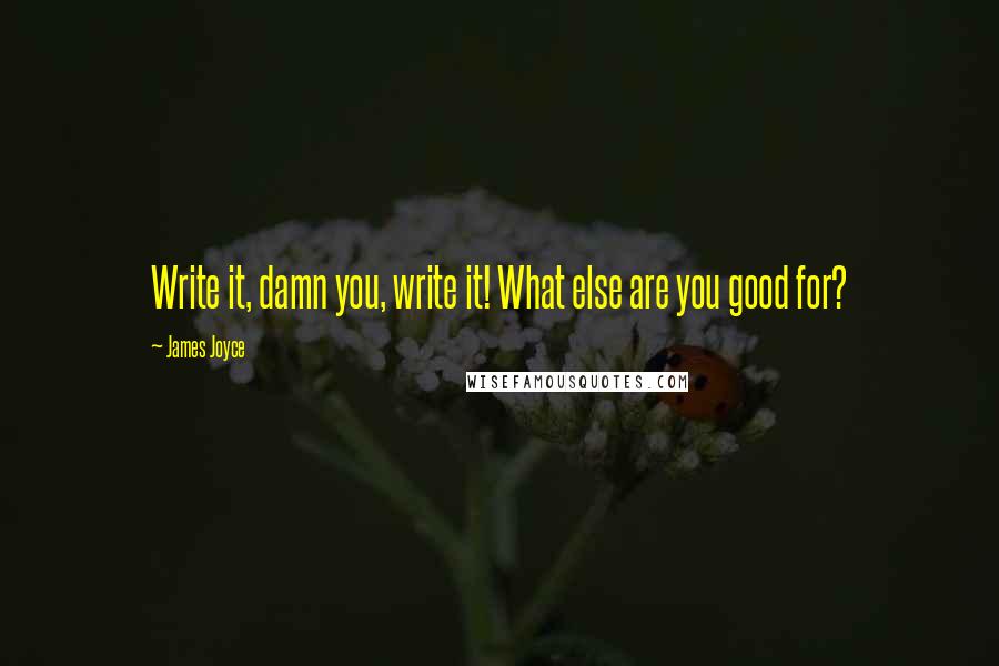 James Joyce Quotes: Write it, damn you, write it! What else are you good for?