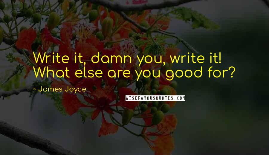 James Joyce Quotes: Write it, damn you, write it! What else are you good for?