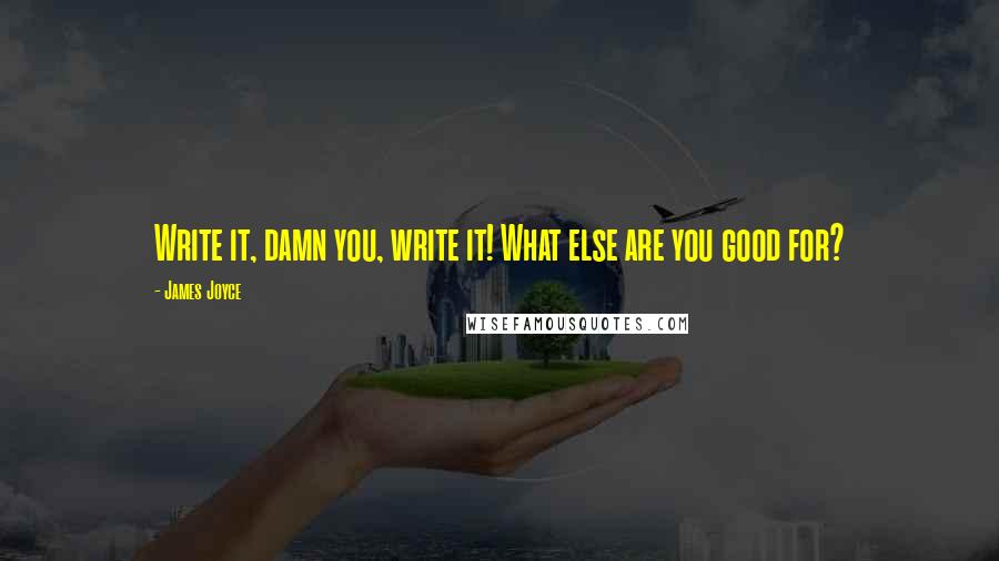 James Joyce Quotes: Write it, damn you, write it! What else are you good for?