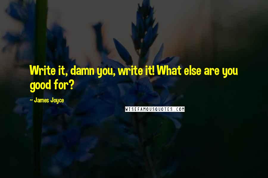 James Joyce Quotes: Write it, damn you, write it! What else are you good for?