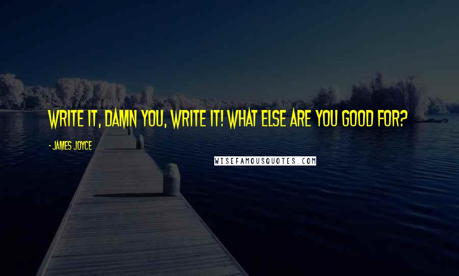 James Joyce Quotes: Write it, damn you, write it! What else are you good for?