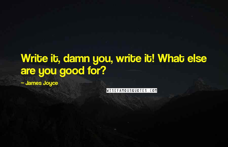 James Joyce Quotes: Write it, damn you, write it! What else are you good for?