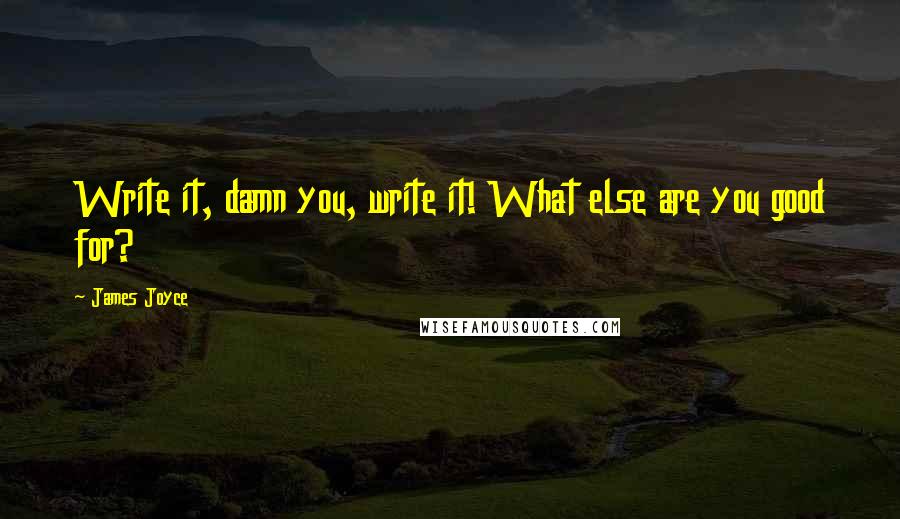 James Joyce Quotes: Write it, damn you, write it! What else are you good for?