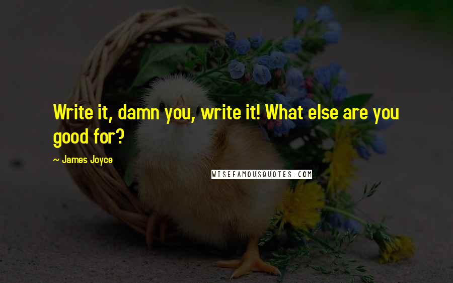 James Joyce Quotes: Write it, damn you, write it! What else are you good for?