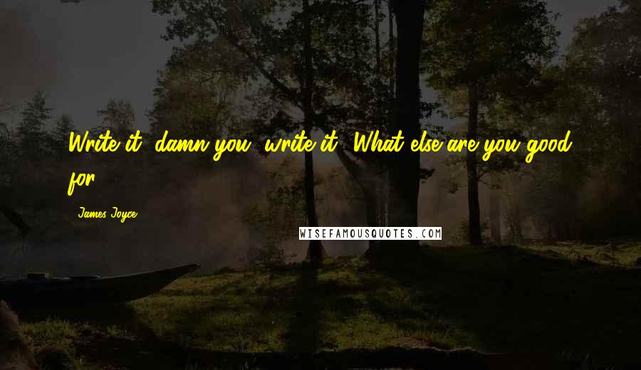 James Joyce Quotes: Write it, damn you, write it! What else are you good for?
