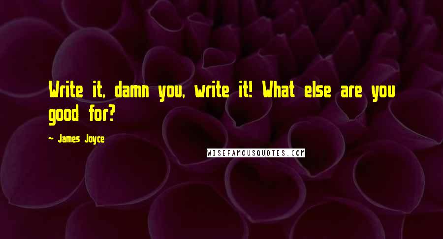 James Joyce Quotes: Write it, damn you, write it! What else are you good for?