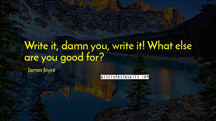 James Joyce Quotes: Write it, damn you, write it! What else are you good for?