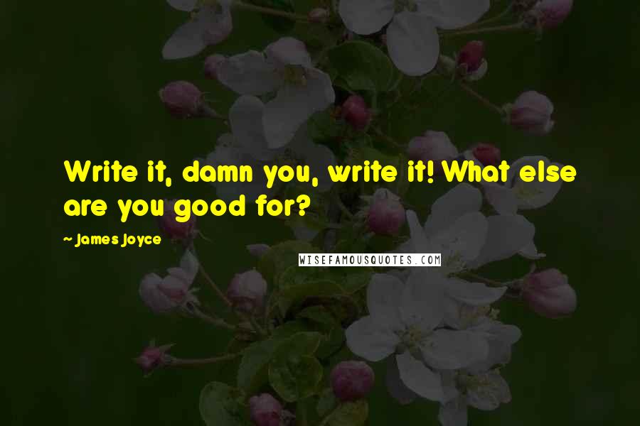 James Joyce Quotes: Write it, damn you, write it! What else are you good for?