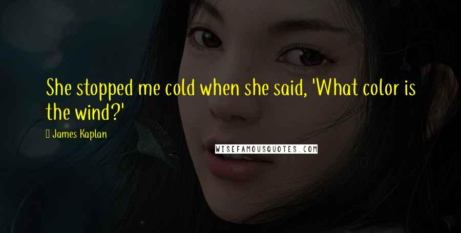 James Kaplan Quotes: She stopped me cold when she said, 'What color is the wind?'