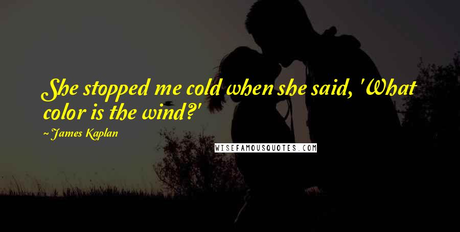 James Kaplan Quotes: She stopped me cold when she said, 'What color is the wind?'