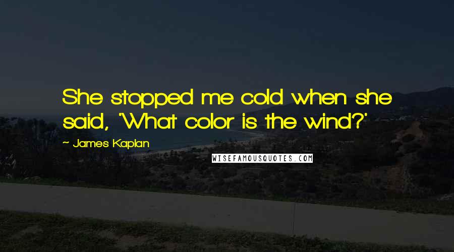 James Kaplan Quotes: She stopped me cold when she said, 'What color is the wind?'