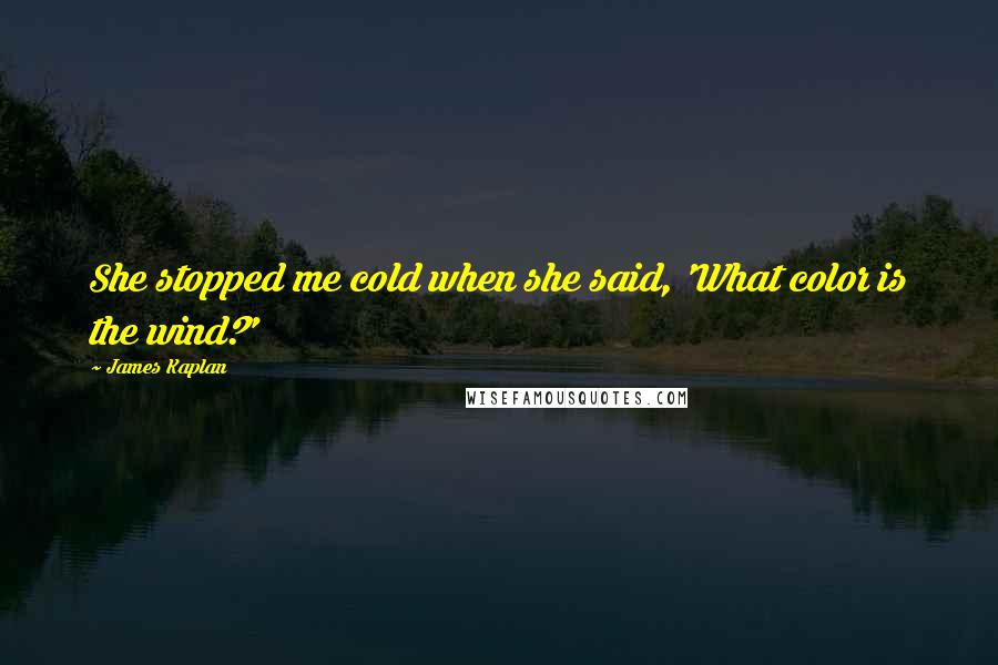 James Kaplan Quotes: She stopped me cold when she said, 'What color is the wind?'