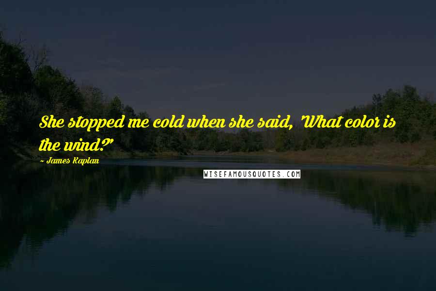 James Kaplan Quotes: She stopped me cold when she said, 'What color is the wind?'