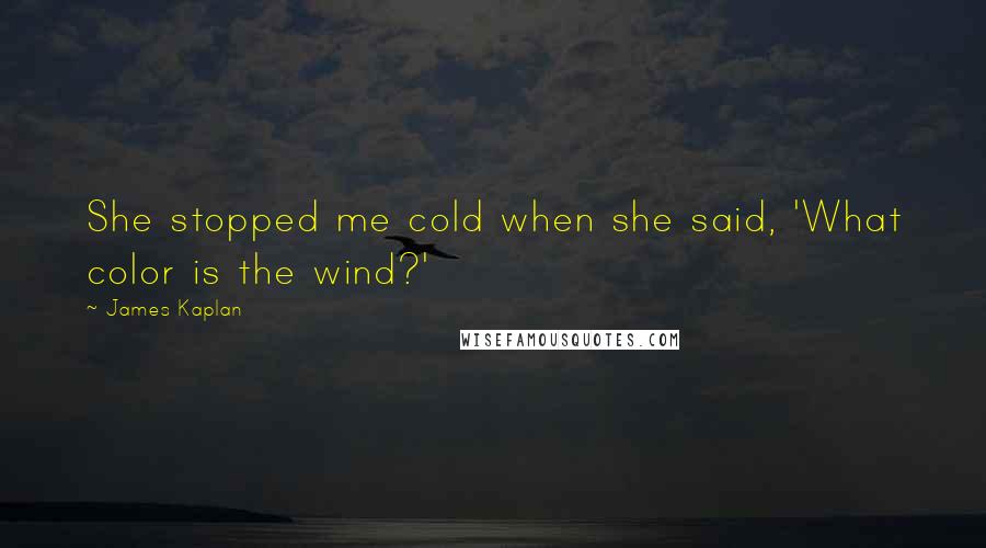 James Kaplan Quotes: She stopped me cold when she said, 'What color is the wind?'