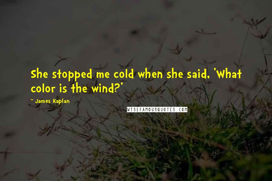 James Kaplan Quotes: She stopped me cold when she said, 'What color is the wind?'