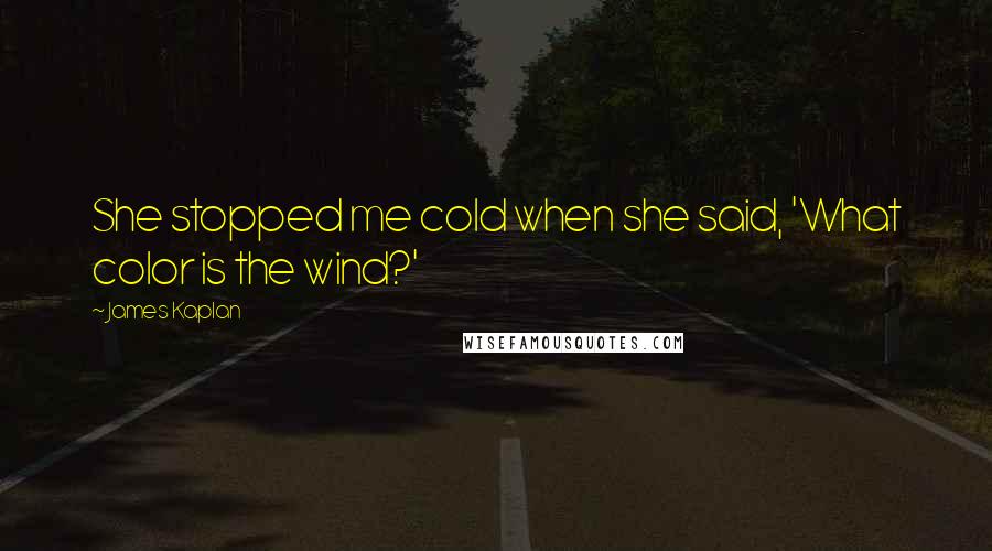 James Kaplan Quotes: She stopped me cold when she said, 'What color is the wind?'