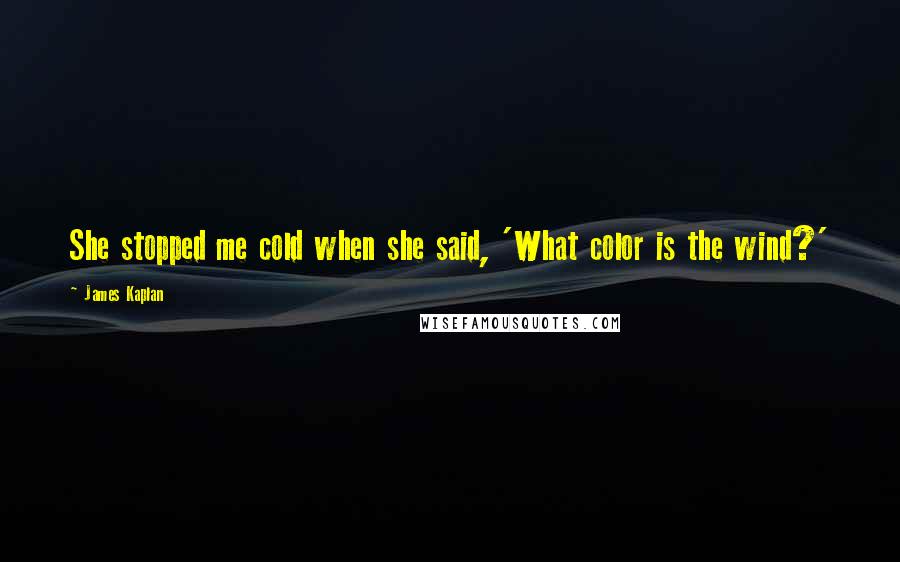 James Kaplan Quotes: She stopped me cold when she said, 'What color is the wind?'