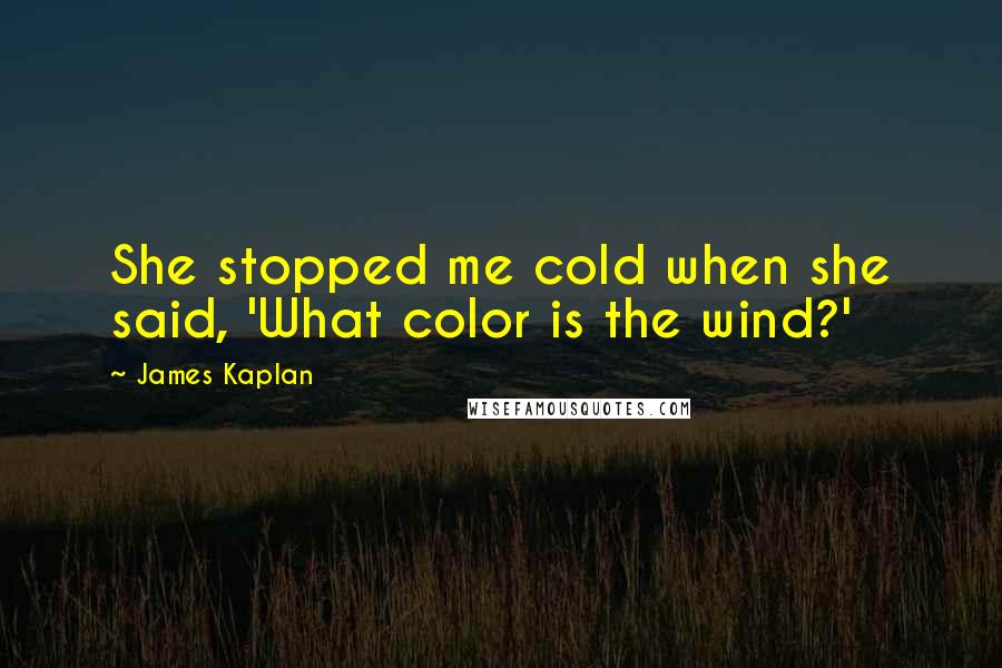 James Kaplan Quotes: She stopped me cold when she said, 'What color is the wind?'