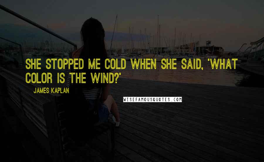 James Kaplan Quotes: She stopped me cold when she said, 'What color is the wind?'