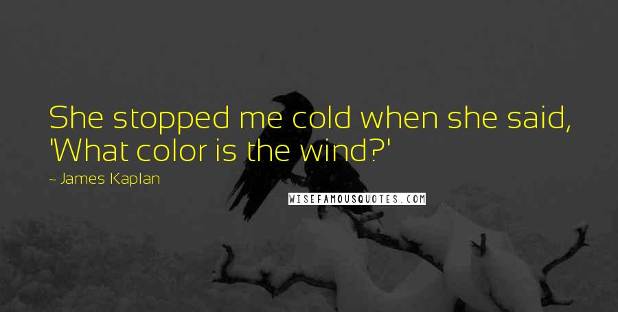 James Kaplan Quotes: She stopped me cold when she said, 'What color is the wind?'