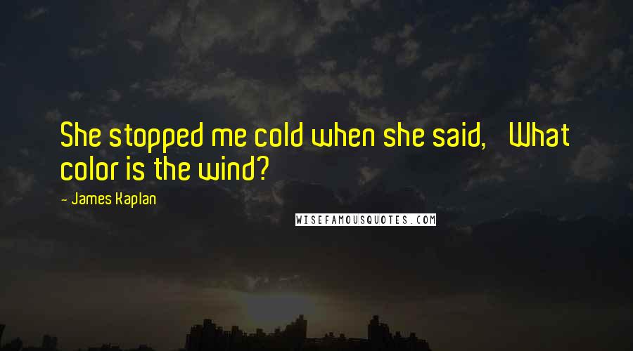 James Kaplan Quotes: She stopped me cold when she said, 'What color is the wind?'