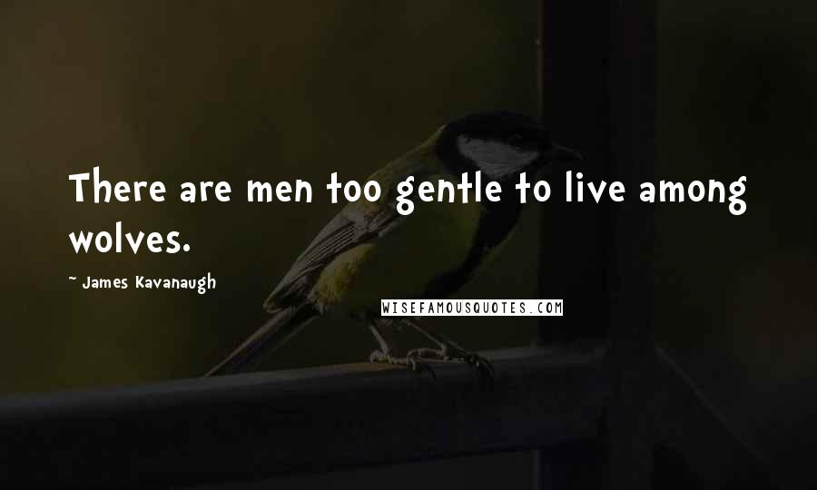James Kavanaugh Quotes: There are men too gentle to live among wolves.