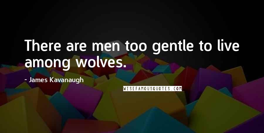James Kavanaugh Quotes: There are men too gentle to live among wolves.