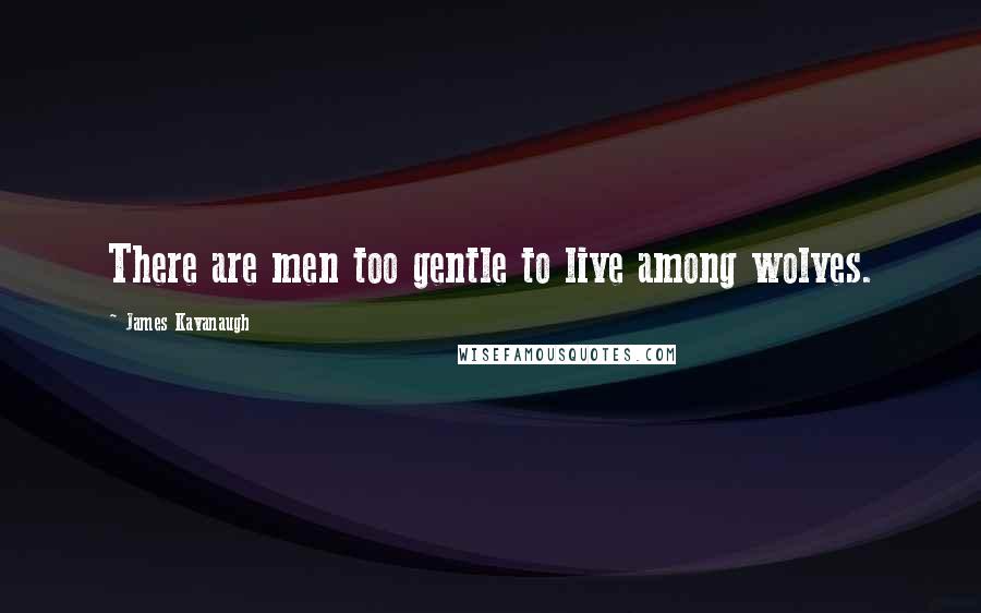 James Kavanaugh Quotes: There are men too gentle to live among wolves.
