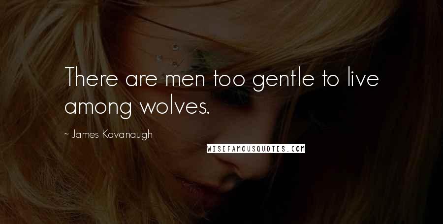 James Kavanaugh Quotes: There are men too gentle to live among wolves.