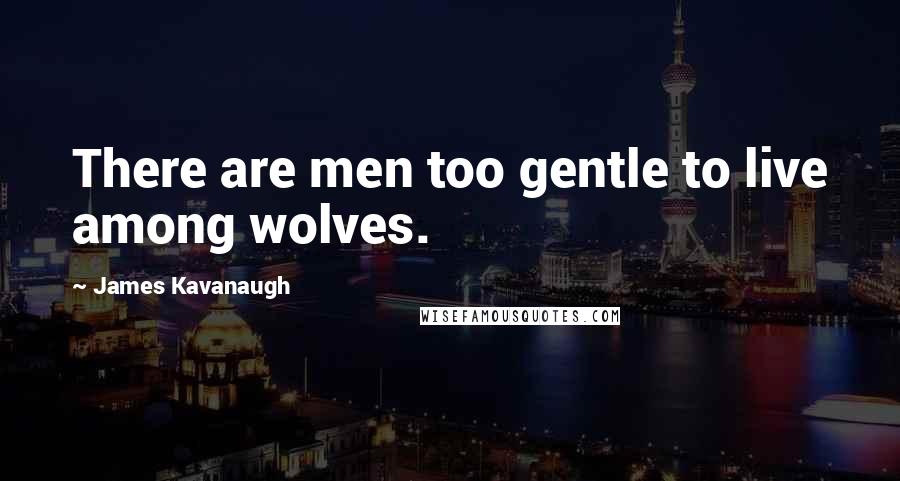 James Kavanaugh Quotes: There are men too gentle to live among wolves.