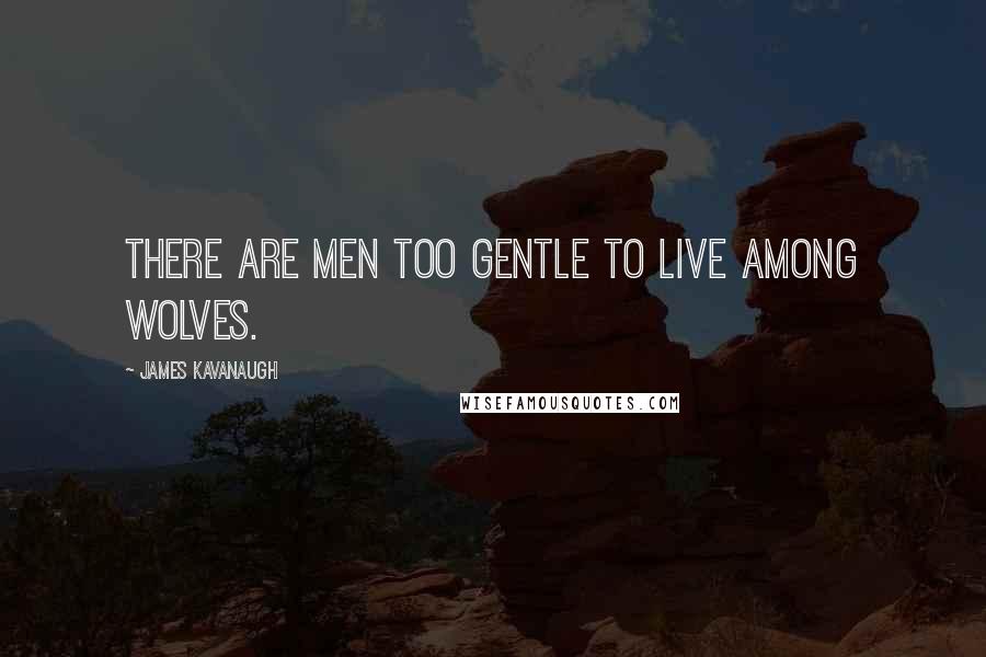 James Kavanaugh Quotes: There are men too gentle to live among wolves.