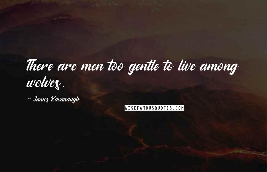 James Kavanaugh Quotes: There are men too gentle to live among wolves.