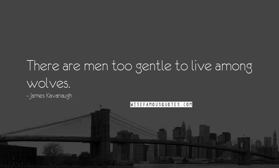 James Kavanaugh Quotes: There are men too gentle to live among wolves.
