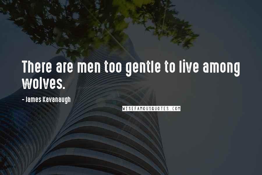 James Kavanaugh Quotes: There are men too gentle to live among wolves.