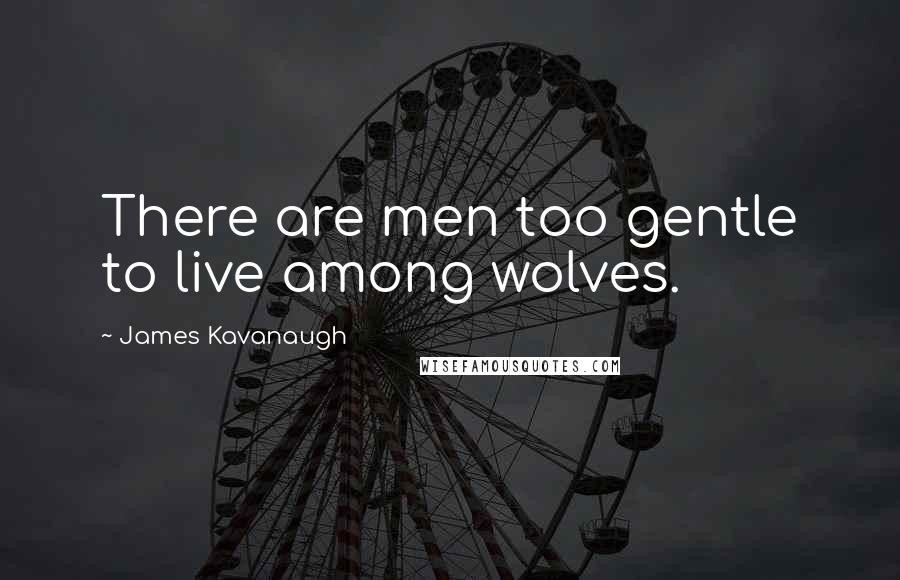 James Kavanaugh Quotes: There are men too gentle to live among wolves.