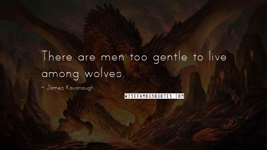 James Kavanaugh Quotes: There are men too gentle to live among wolves.