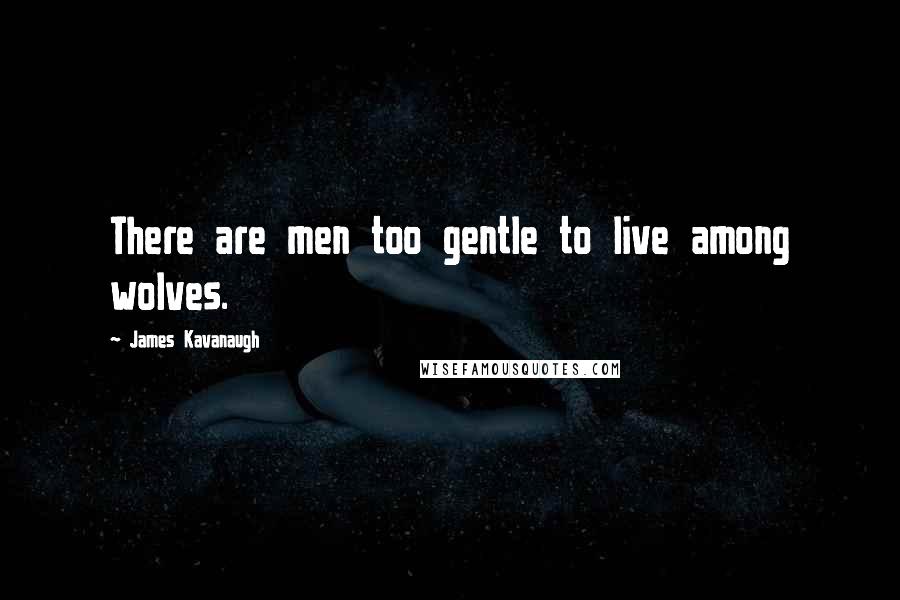 James Kavanaugh Quotes: There are men too gentle to live among wolves.