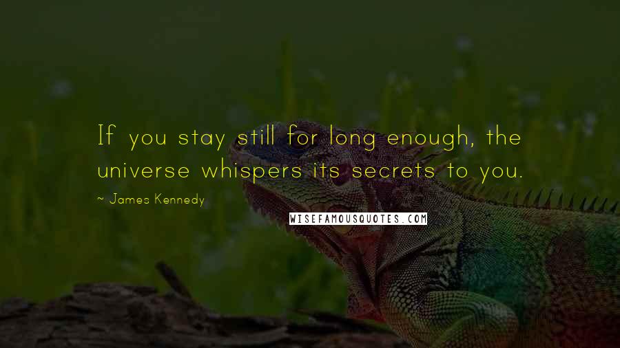 James Kennedy Quotes: If you stay still for long enough, the universe whispers its secrets to you.