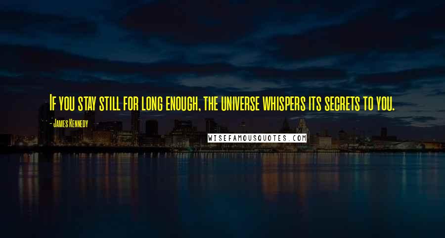 James Kennedy Quotes: If you stay still for long enough, the universe whispers its secrets to you.