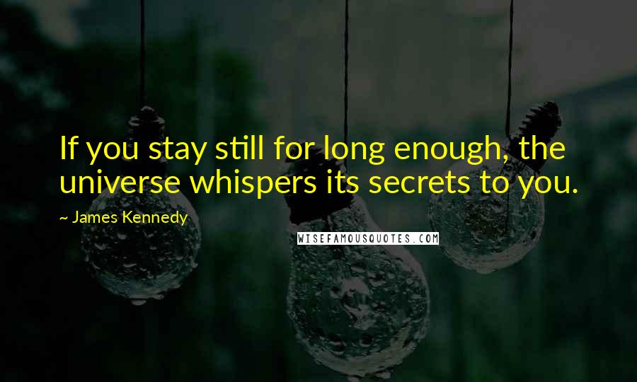 James Kennedy Quotes: If you stay still for long enough, the universe whispers its secrets to you.