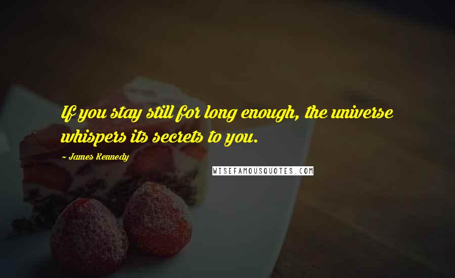 James Kennedy Quotes: If you stay still for long enough, the universe whispers its secrets to you.