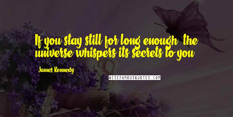 James Kennedy Quotes: If you stay still for long enough, the universe whispers its secrets to you.